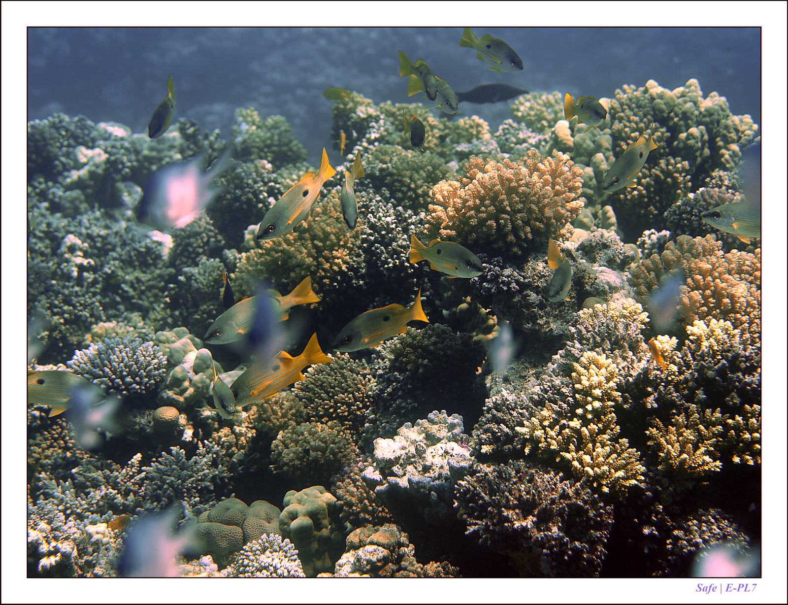 Hurghada - Juillet 2021 - 070